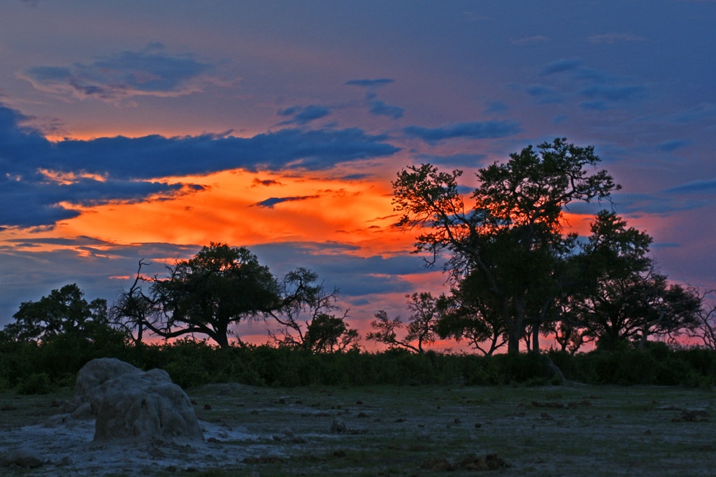 Parque nacional Chobe