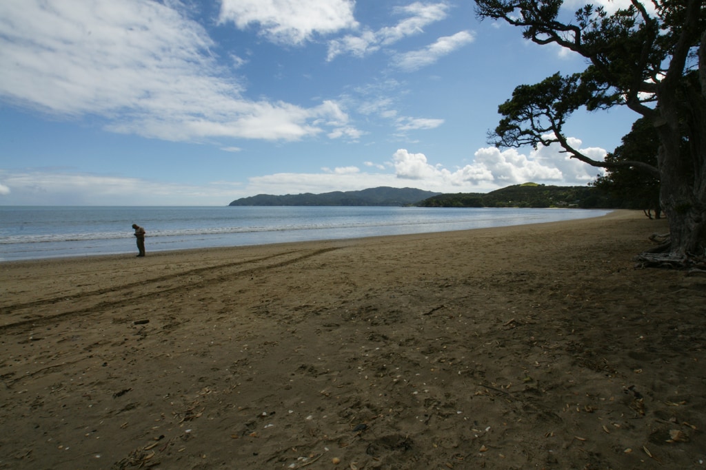 Playa Auckland