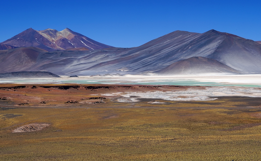 Lagunas altiplánicas, Atacama